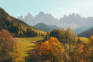 natures 01.jpg