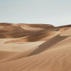gallery 06.jpg