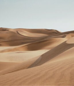 gallery 27.jpg