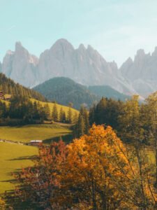 natures 02.jpg