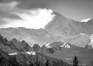 banner 8.jpg
